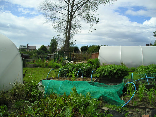 Sefton Allotments