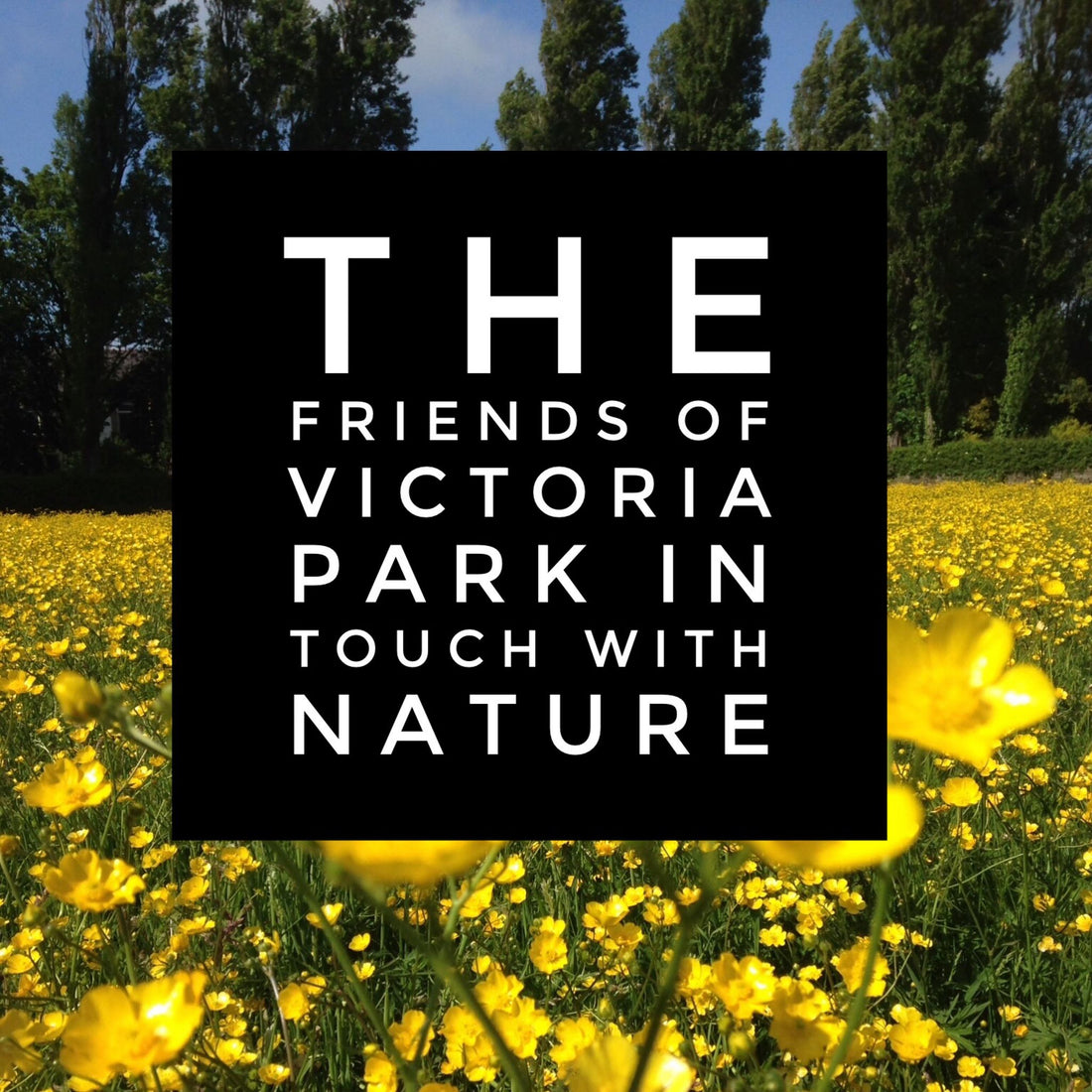 Friends of Victoria Park