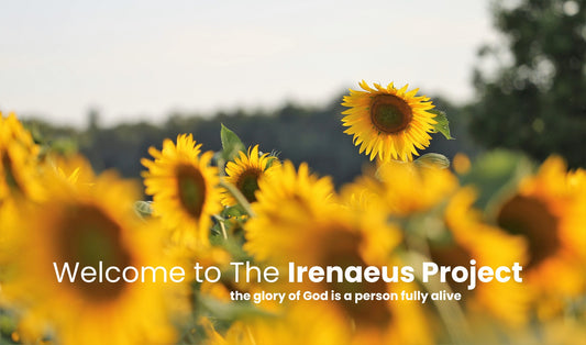 Irenaeus Project - Food cupboard